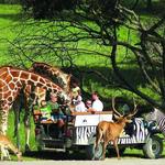Fossil Rim Wildlife Center