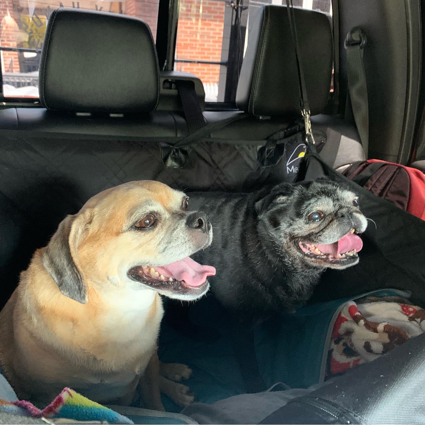 Our first roadtrip.
