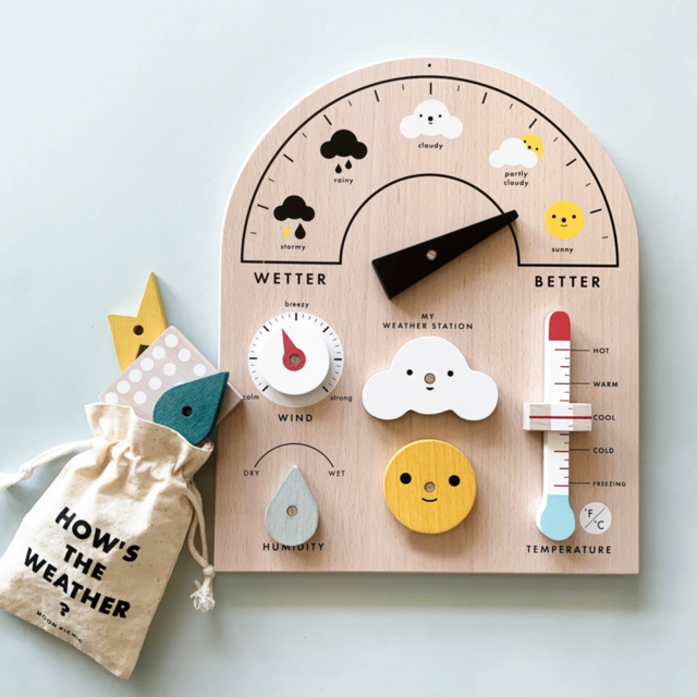 Weather Station - Moon Picnic