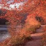 Massapequa Preserve