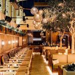 Toca Madera Scottsdale