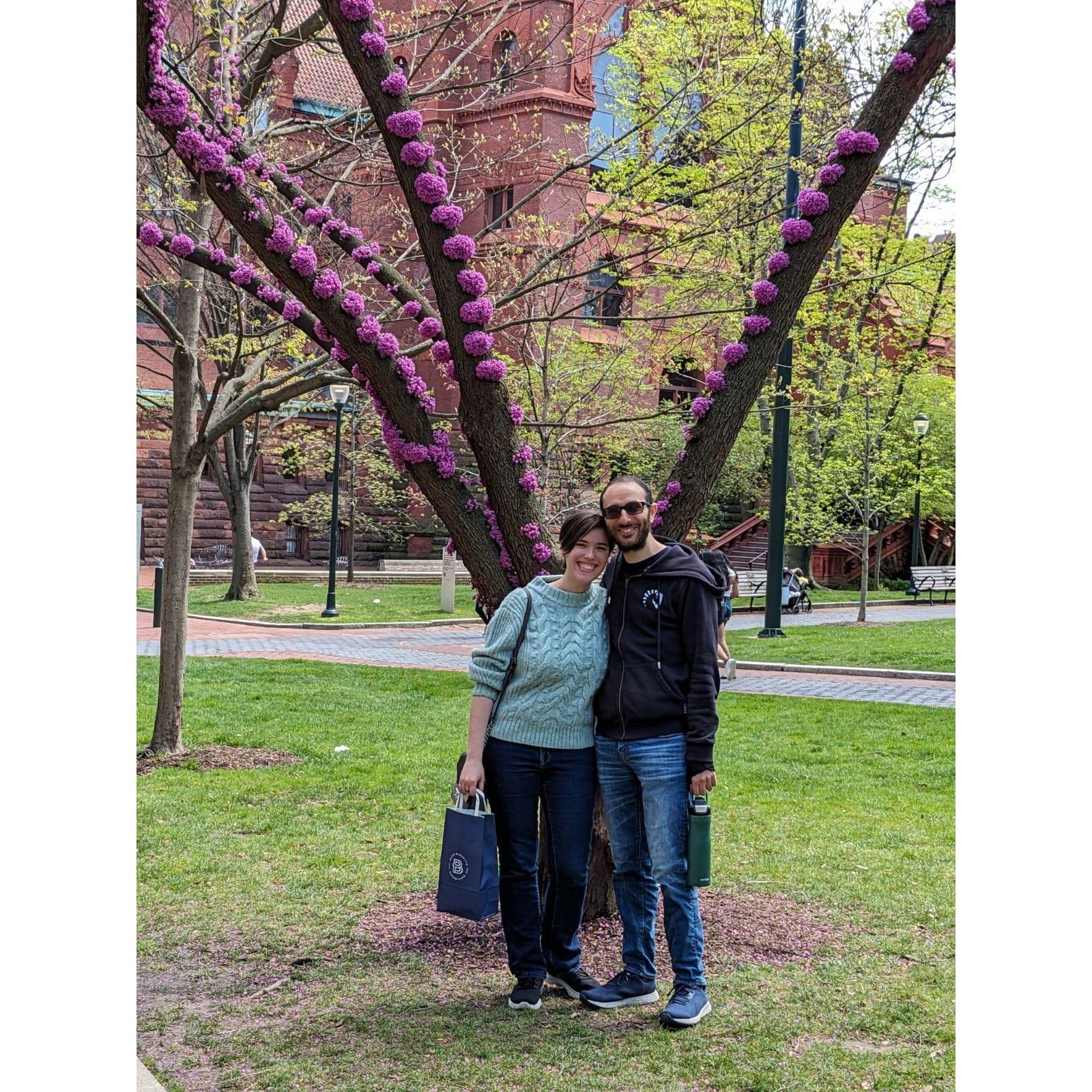 Beautiful spring day on Penn's campus 2024 (PC: Julia)