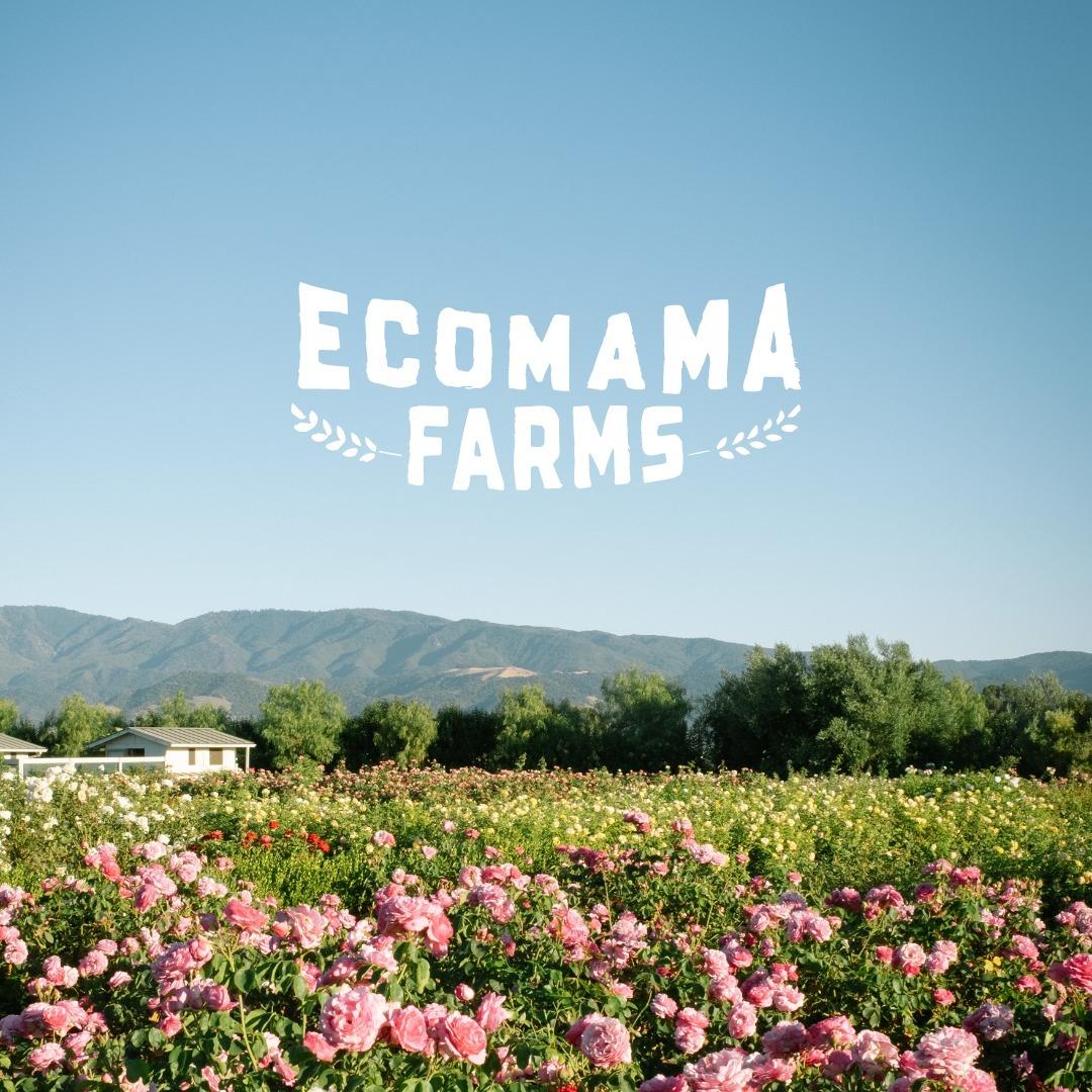 The Wedding Website of Melissa Geiss and Gabe Oland