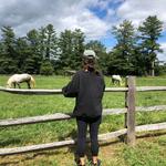 Billings Farm & Museum