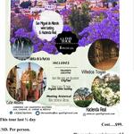 San Miguel De Allende Wine Tasting