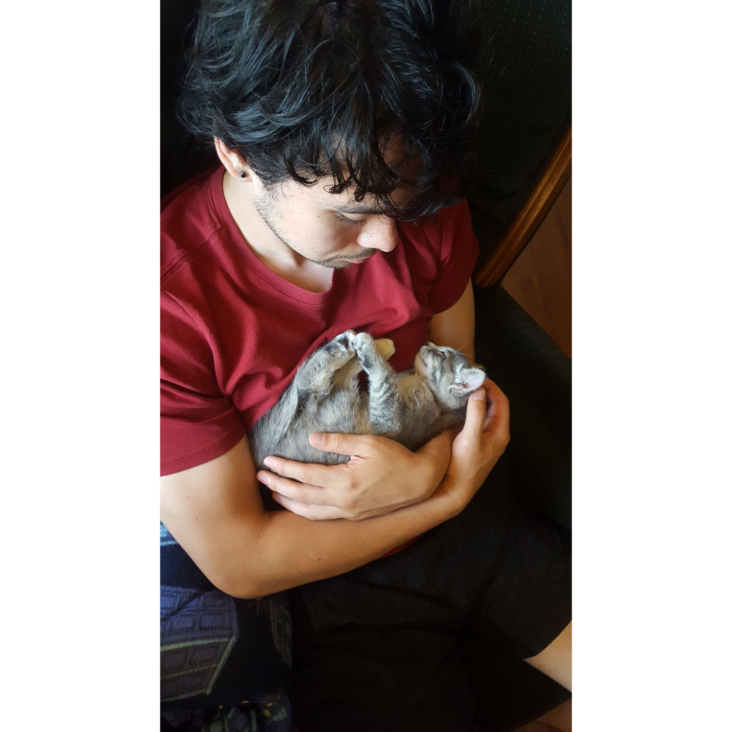 Izaak and Marlowe kitty.