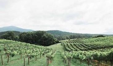 The Wedding Website of Jessica Kiger and Jacob Rotton