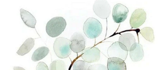 The Wedding Website of Kaitlin Meier and Matt Firth