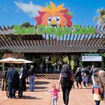 The World Famous San Diego Zoo