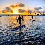 Mission Bay Stand Up Paddle