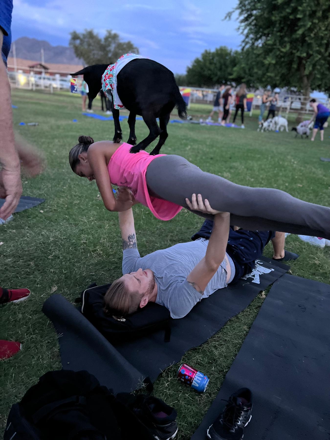 Goat Yoga!!