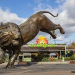 San Diego Zoo