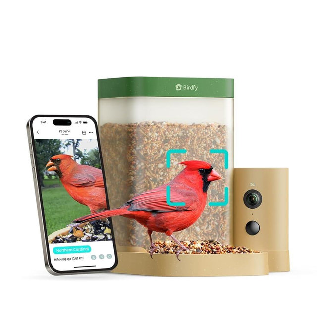 Birdfy Smart Bird Feeder with Camera for Rookie, Camera Bird Feeder Dual Night Vision, AI Recognition IP66 Waterproof for BirdLovers