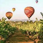 A Grape Escape Balloon Adventure