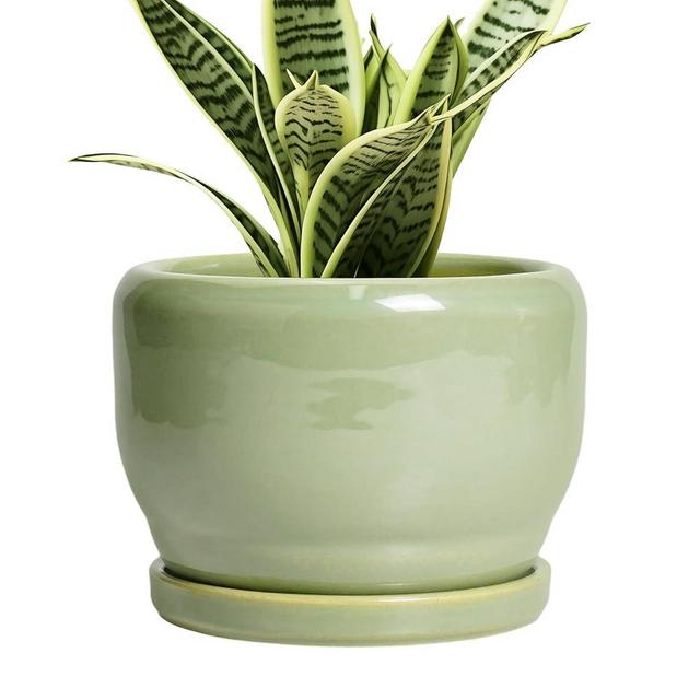 SQOWL Ceramic Pot for Plants - 6 Inch Planter for Indoor Outdoor Plants, Round Decorative Flower Pot with Drainage Hole and Saucer, Modern Small Planter, Patio Decor, Garden Gifts, Green
