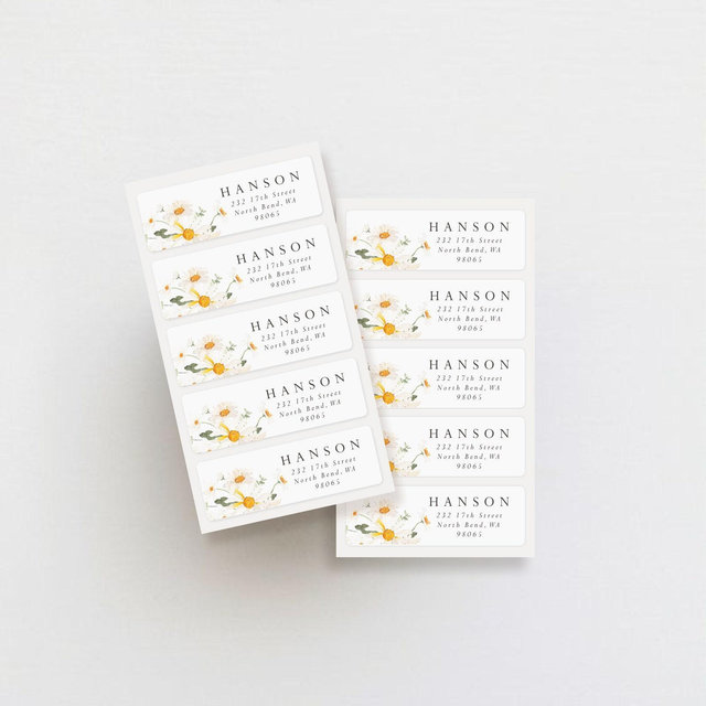 Daisy Field Address Labels: Weatherproof Return Address Stickers - Set of 30