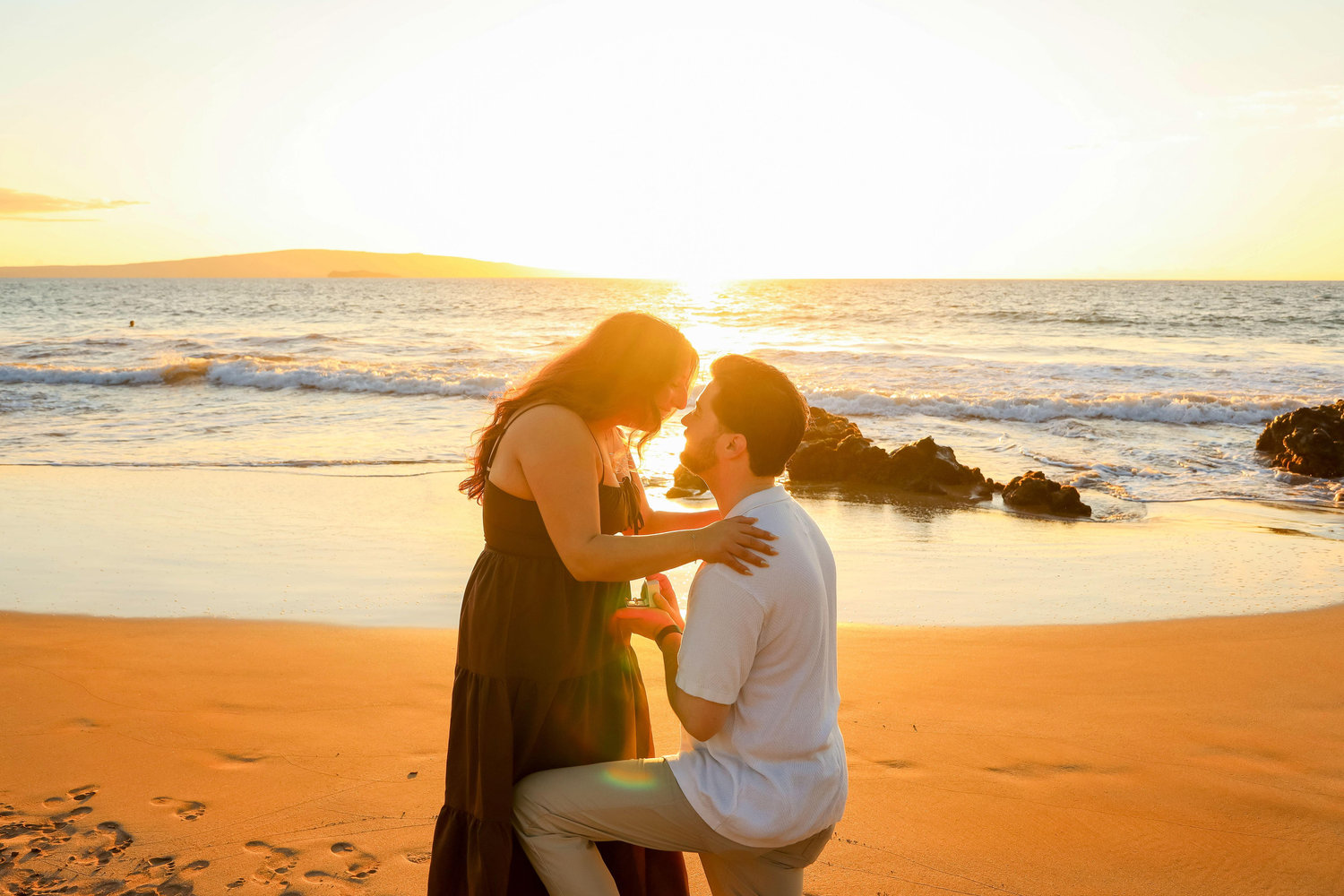 The Wedding Website of Sarah Sepehr and Seth Harding