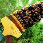 Busch Gardens Tampa Bay
