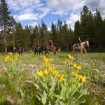 Colter Bay Village: Horseback Riding