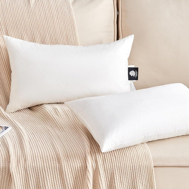 KUSNUG Organic Feather Down Lumbar Pillow Inserts (12x20 Inch, Set of 2) - 100% Cotton Shell, Filling of Feathers & Memory Foam, Rectangular Decorative Pillow Form Core for Couch, Sofa, and Bed