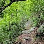 Black Mountain Trail