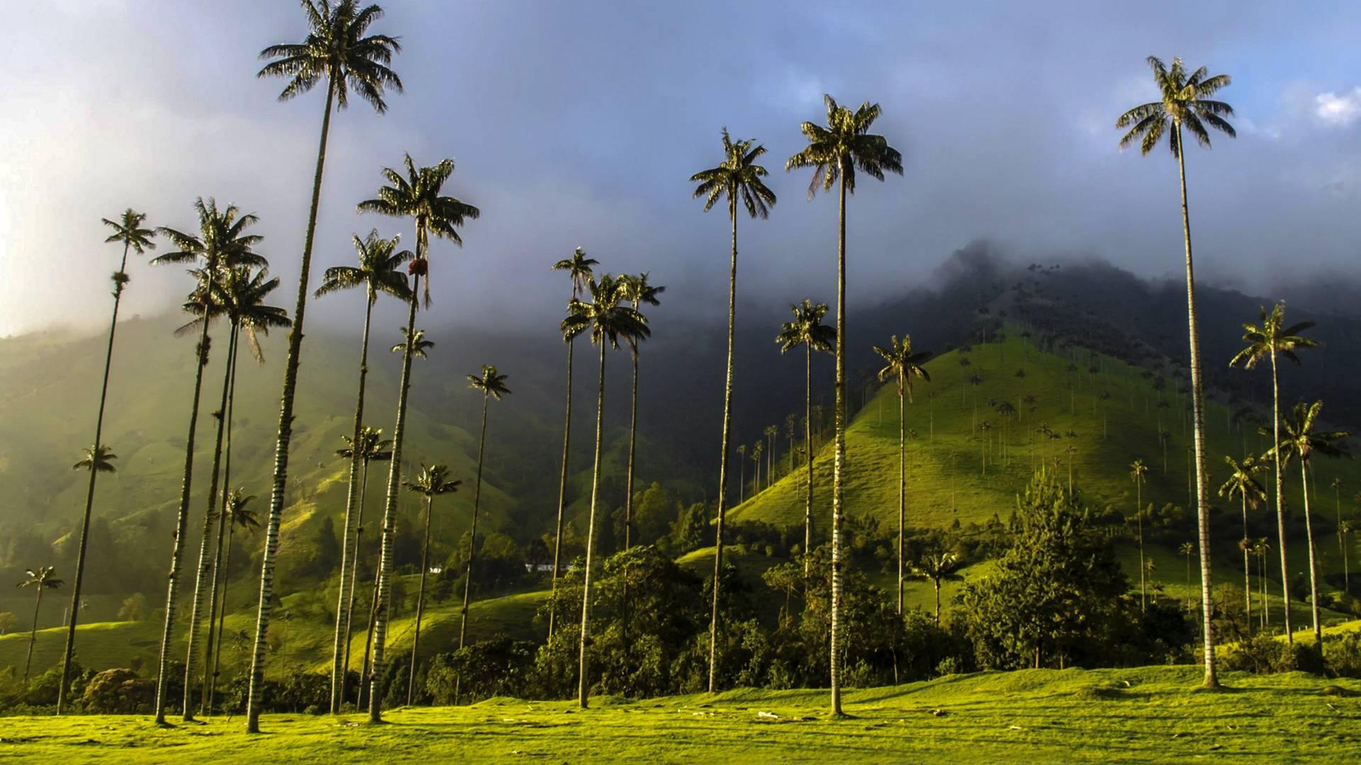 The Wedding Website of Juliet Colon and Darwing Espinal