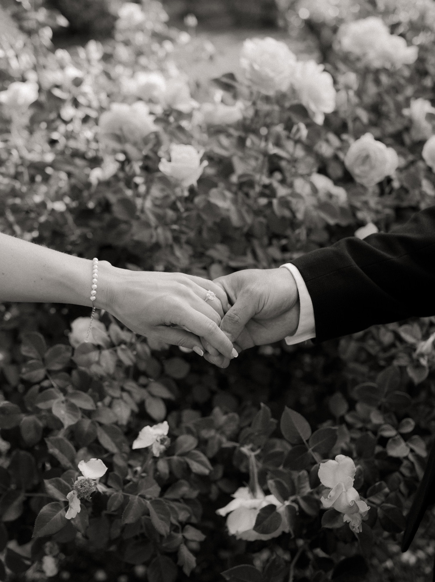 The Wedding Website of Shelby Pruyne and Jon Rivera