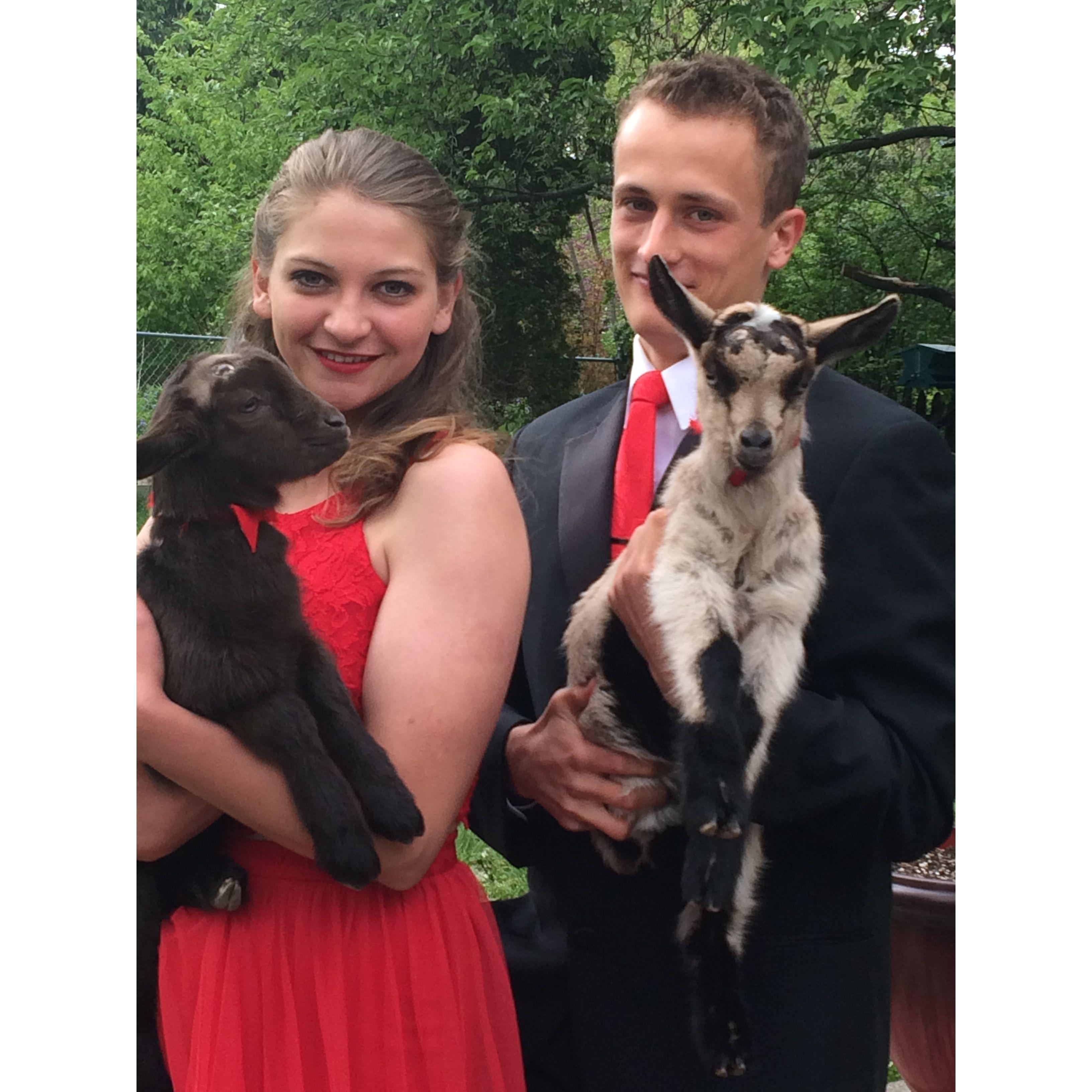 High school prom, 2016