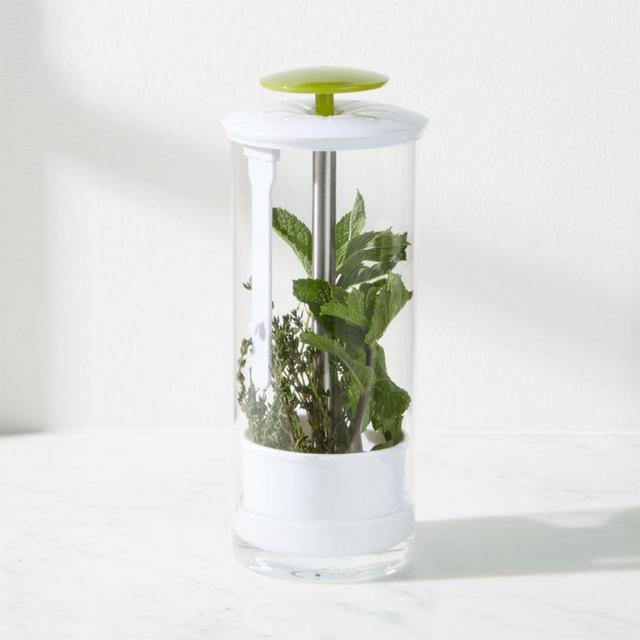 Glass Herb Keeper