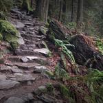 Tiger Mountain Trailhead