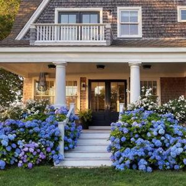 First Home Fund