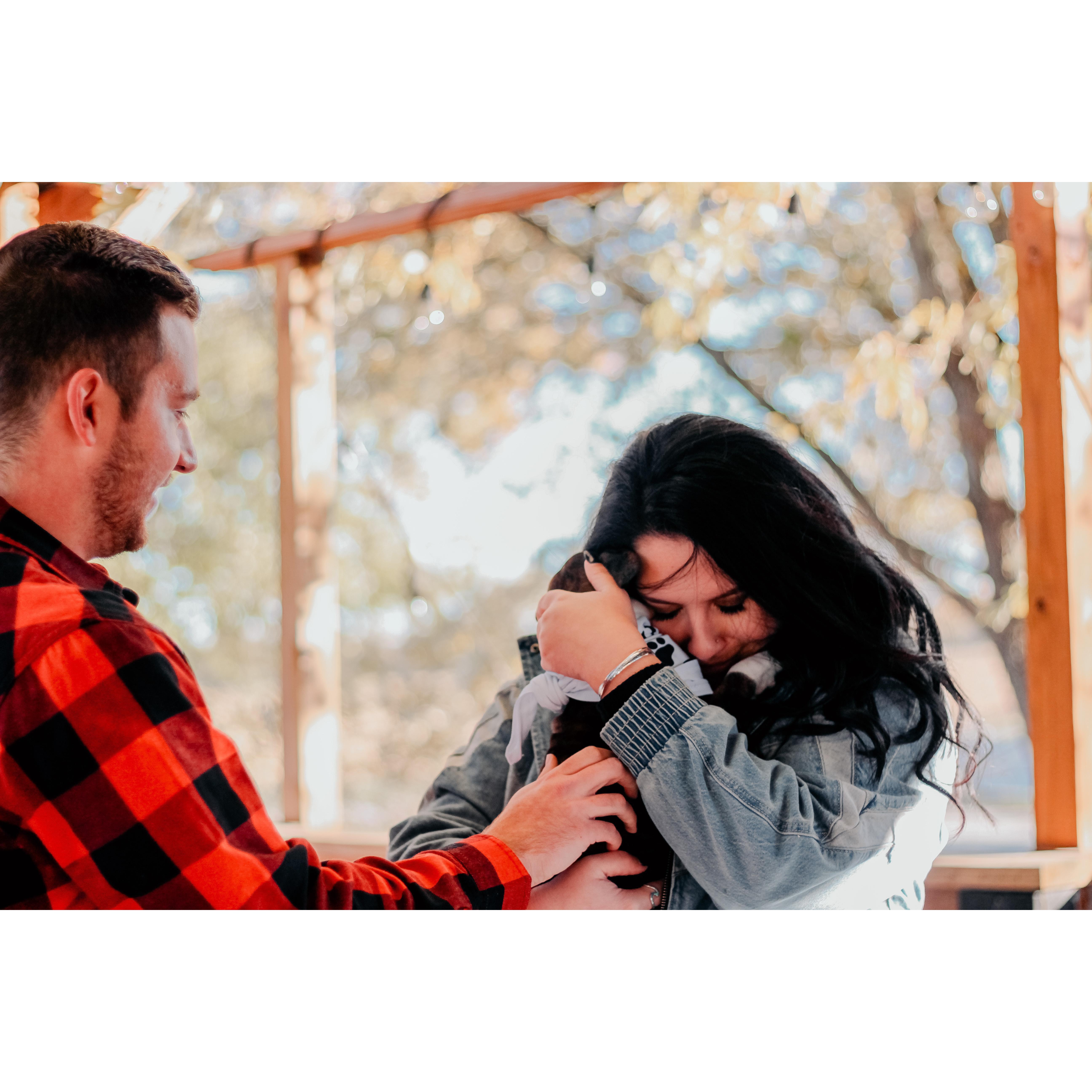 Engagement photos
