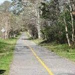 Old Colony Rail Trail Trailhead