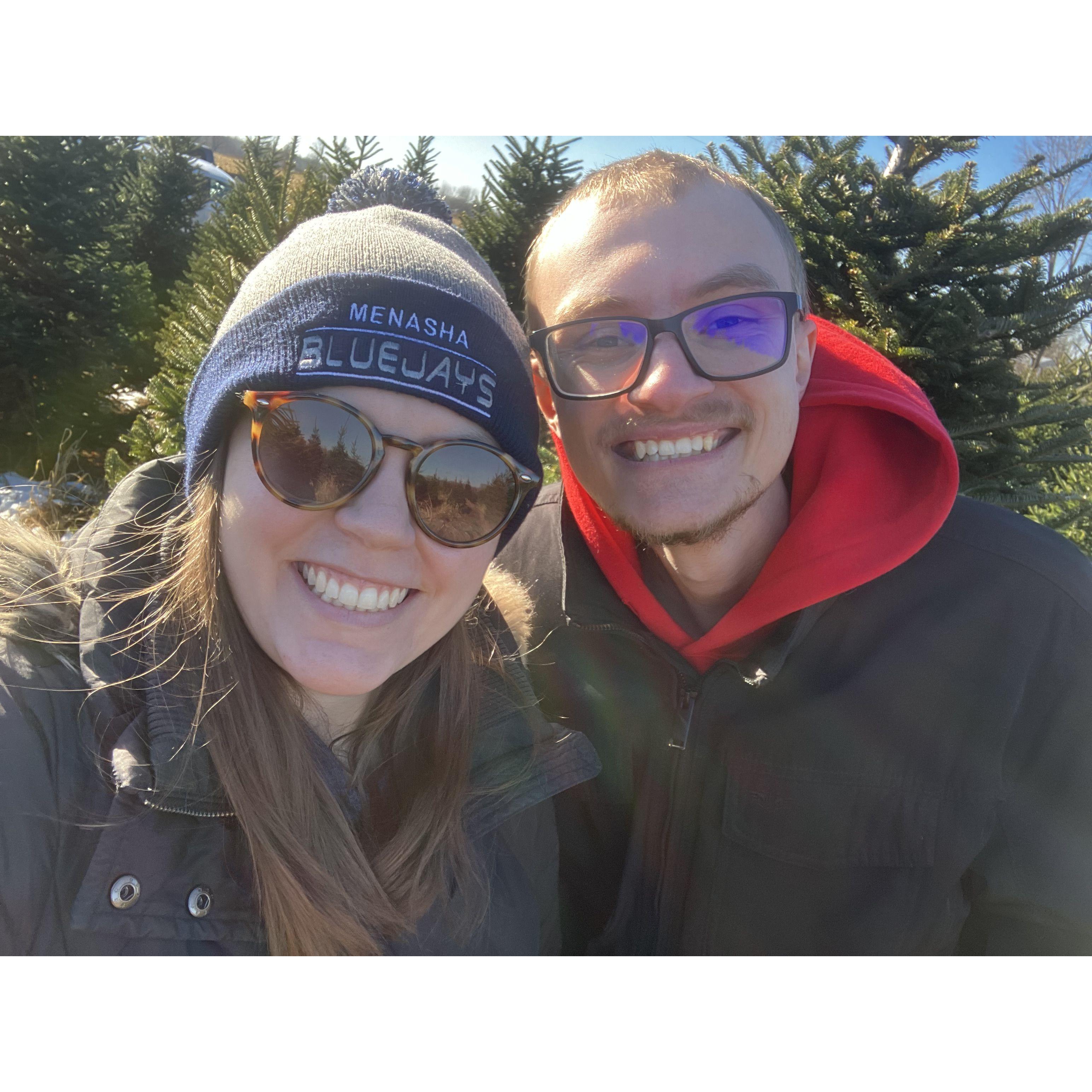 Christmas Tree Shopping