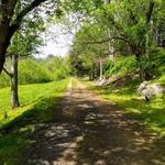 Chessie Nature Trail