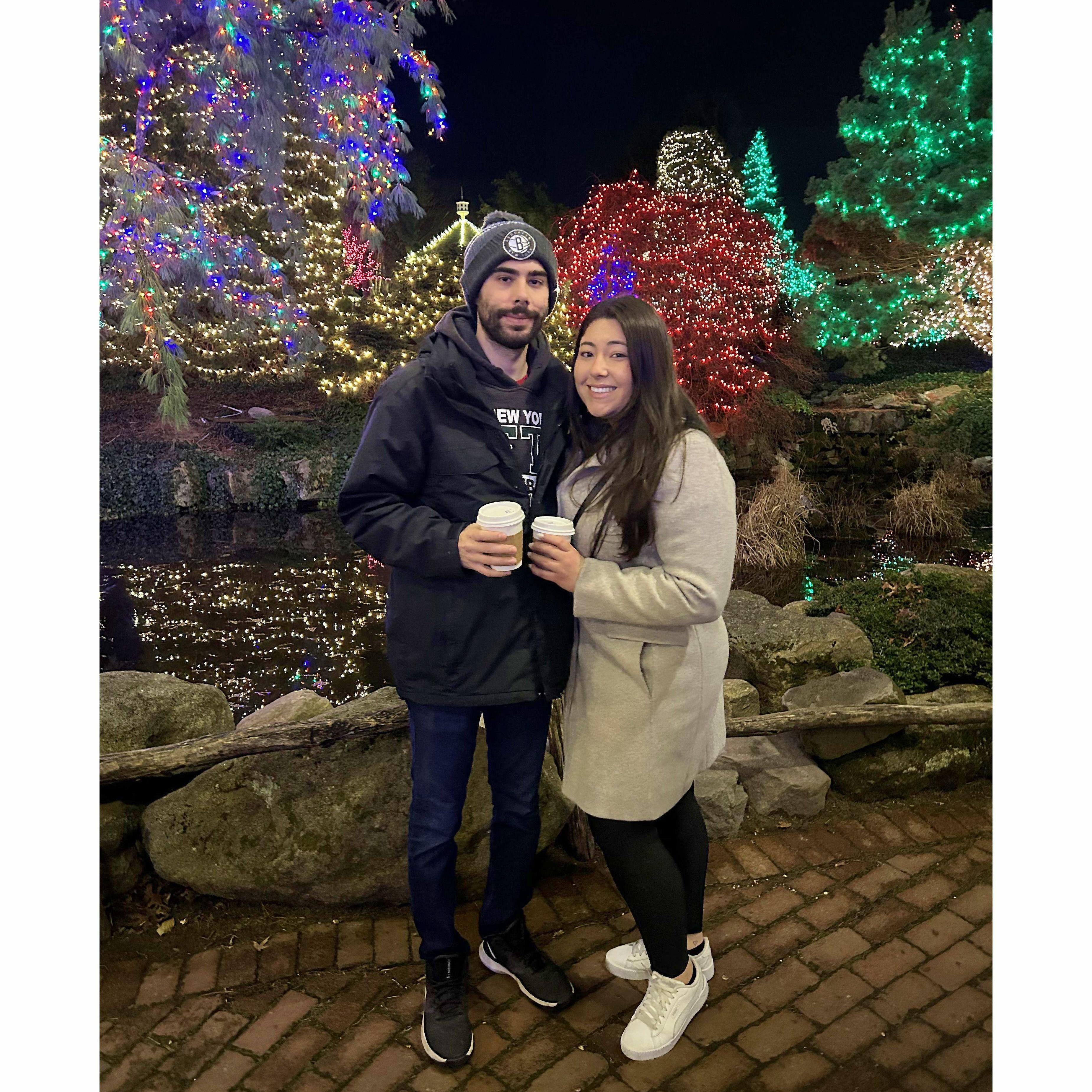 Christmas lights at Turtle Back Zoo (2022)