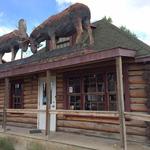 Woodcutter's Blanket - Bar & Brewery