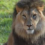 Fort Wayne Children's Zoo