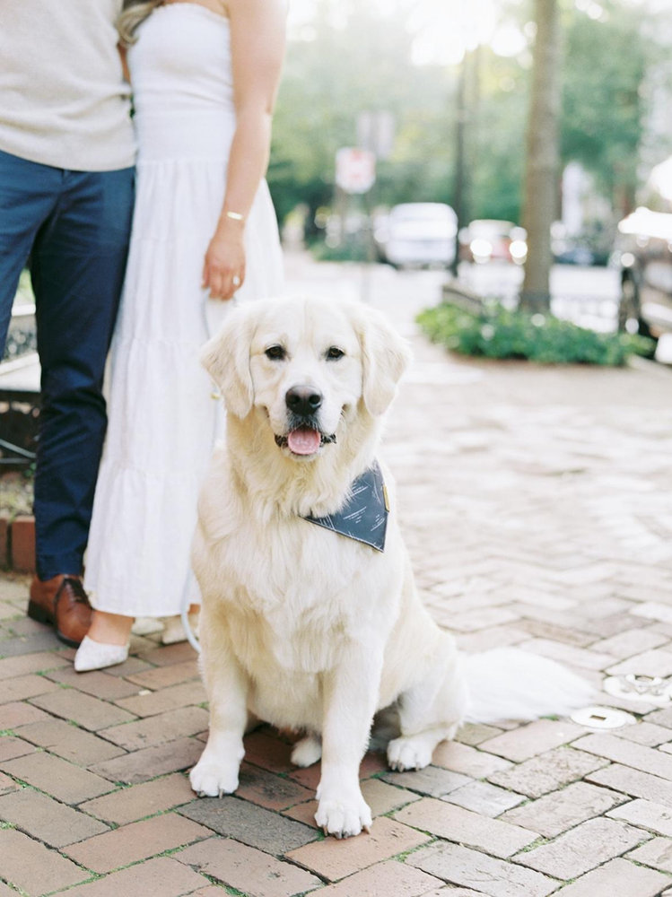 Patrick Clipp and Deirdre Gsell's Wedding Website