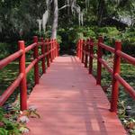Magnolia Plantation and Gardens