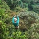 Sky Trek & Sky Tram Tour