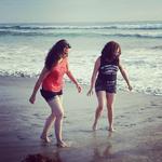 Torrey Pines State Beach