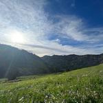 Hike Little Cottonwood Canyon