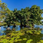 Islets of Granada