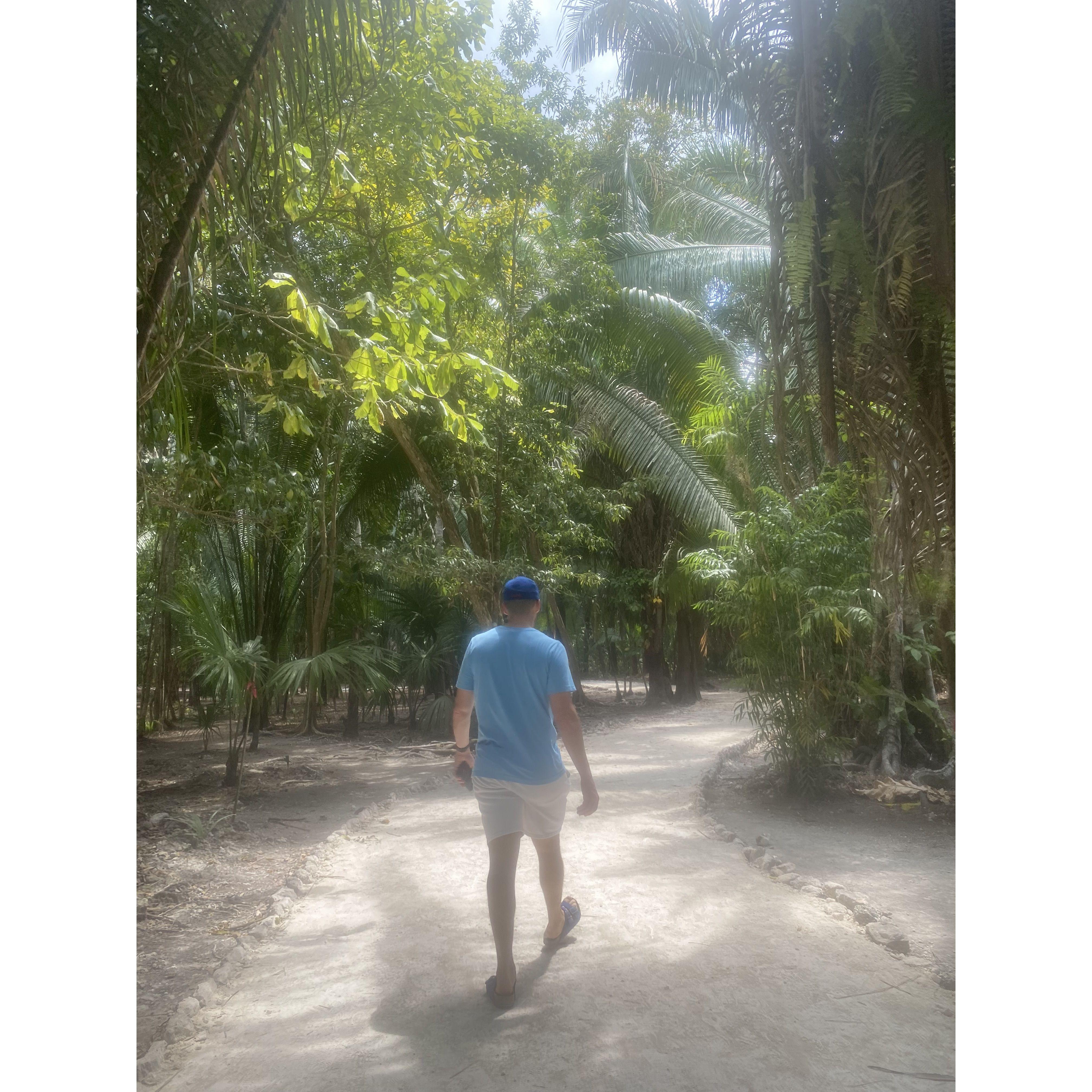 Chacchoben Jungle