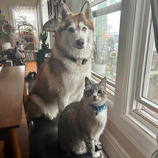 Kora & Ezekiel treat fund
