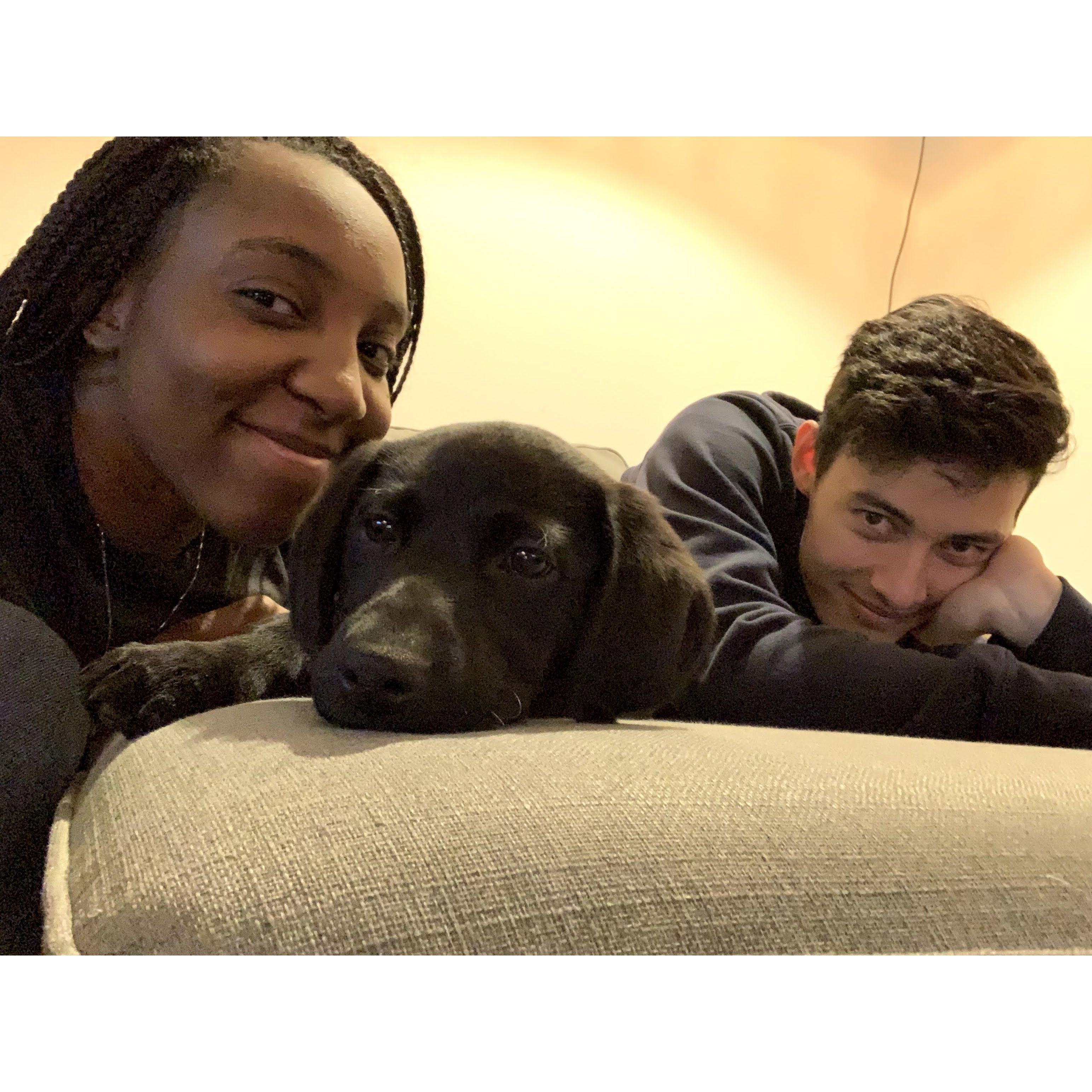 2021: Our baby, a black Labrador named Skye!