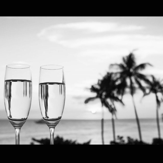 Our Honeymoon Fund 🍾