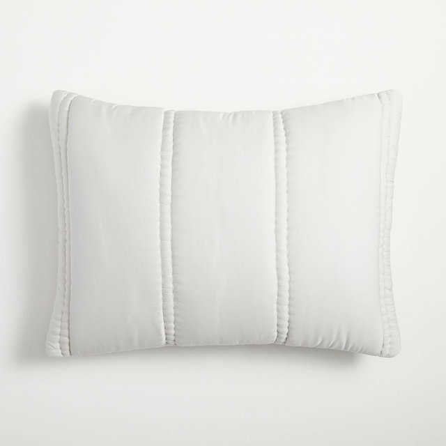 Silky TENCEL Plush, Standard Sham, Frost Gray