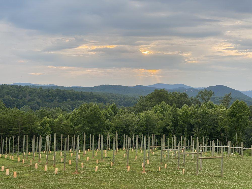 The Wedding Website of Eva Algharaballi and Anthony Freese